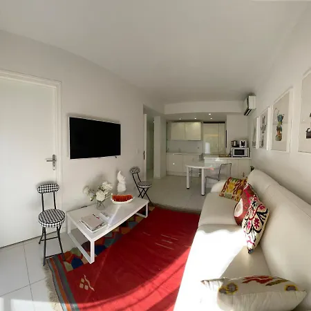 Renovated Centre Banane Balcon 公寓 戛纳